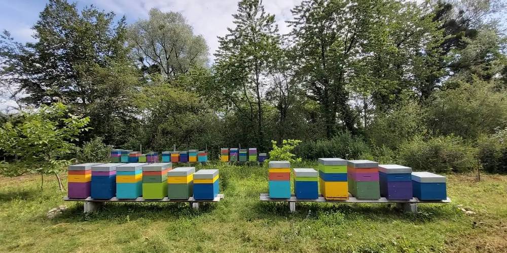  Les ruchers de la source (Bourgogne-Franche-Comté, Doubs)