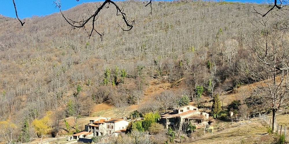  Mas Can Founs (Occitanie, Pyrénées-Orientales)