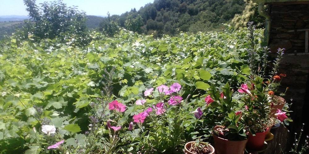  Les Treilles du Pouget (Occitanie, Aveyron)