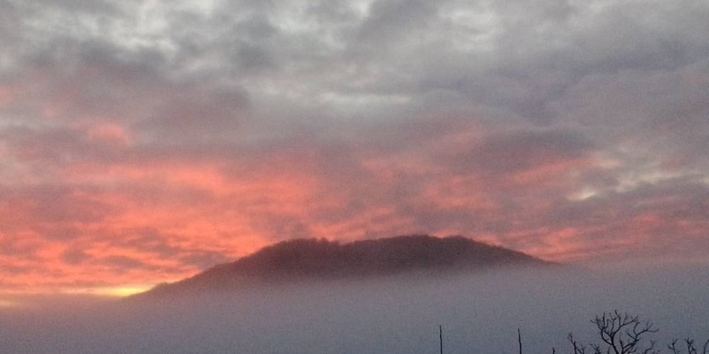  Les Treilles du Pouget (Occitanie, Aveyron)