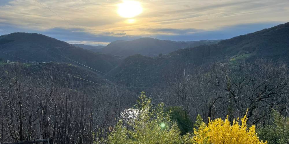  Les Treilles du Pouget (Occitanie, Aveyron)