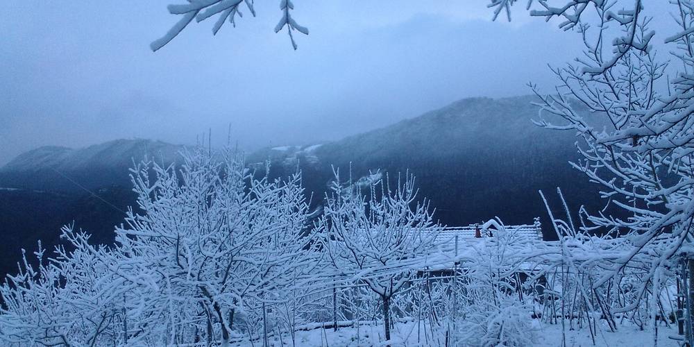  Les Treilles du Pouget (Occitanie, Aveyron)