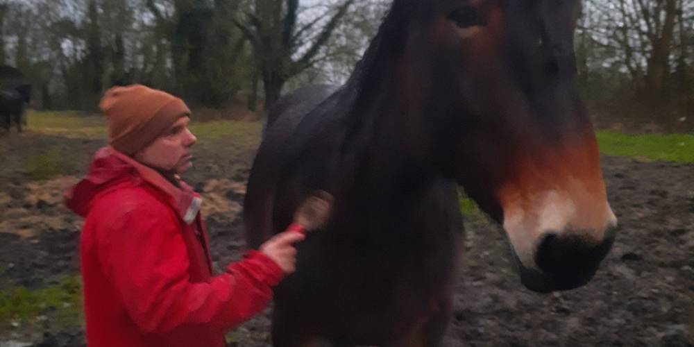 Franck et Iazy -  Les Reinières guest rooms (Pays de la Loire, Maine-et-Loire)