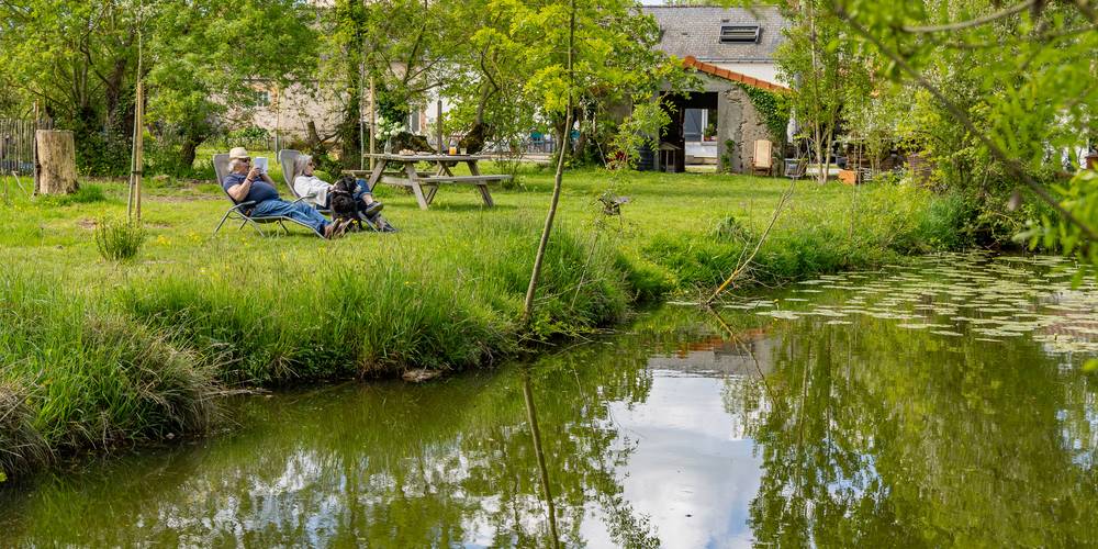 Vue de l'étang -  Les Reinières guest rooms (Pays de la Loire, Maine-et-Loire)