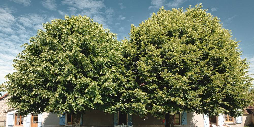  FERME DU BOIS D'HAUT (Centre-Val de Loire, Indre)