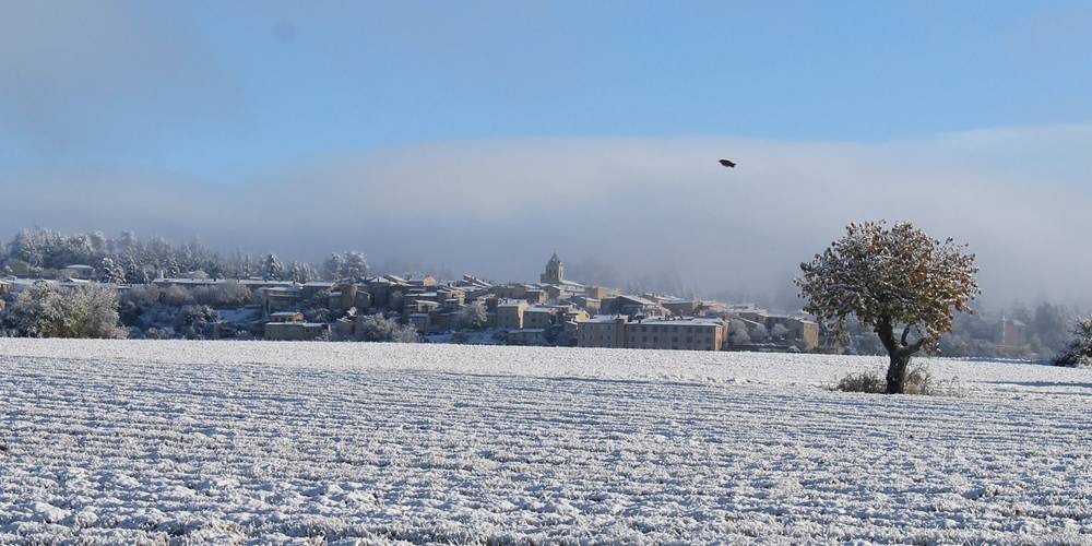 Lavandes l'hiver autour de la ferme -  At the Saulce plant (Provence-Alpes-Côte d’Azur, Vaucluse)
