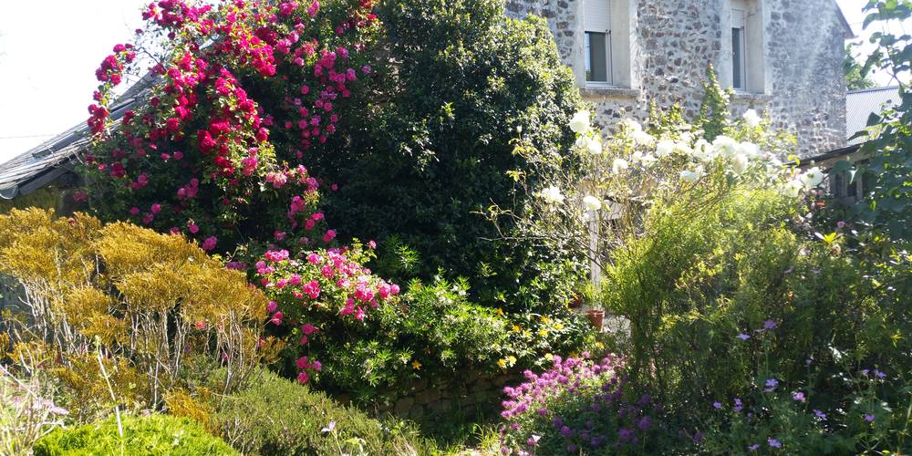  Dujala (Bretagne, Ille-et-Vilaine)