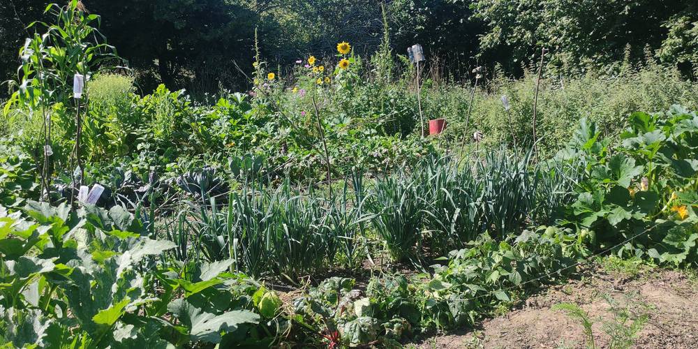  Dujala (Bretagne, Ille-et-Vilaine)