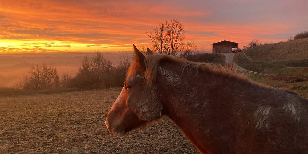  La Colline (Occitanie, Tarn)
