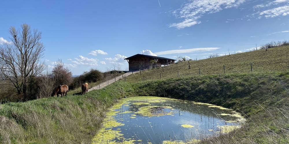  La Colline (Occitanie, Tarn)
