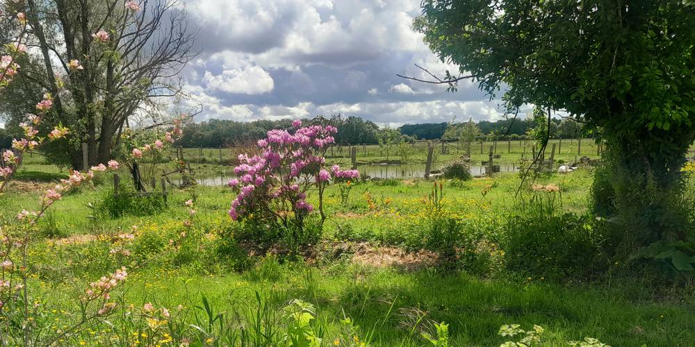 camping 1 -  Gîte des mille plantes (Centre-Val de Loire, Indre-et-Loire)