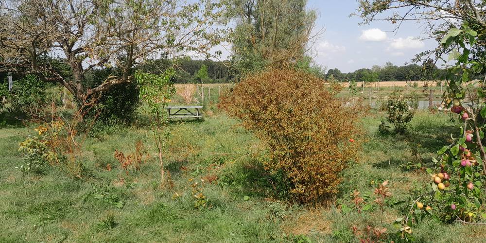 camping 2 -  Gîte des mille plantes (Centre-Val de Loire, Indre-et-Loire)