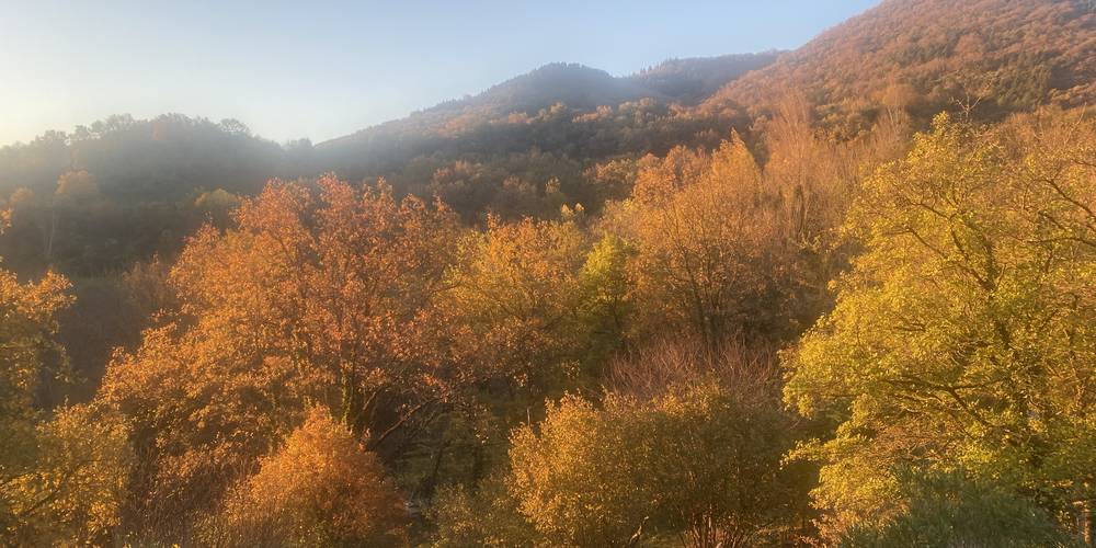  La Zatypie (Occitanie, Hérault)