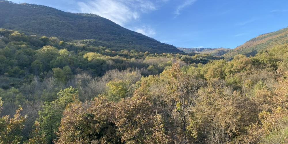  La Zatypie (Occitanie, Hérault)