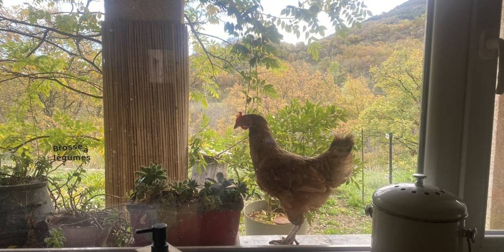  La Zatypie (Occitanie, Hérault)