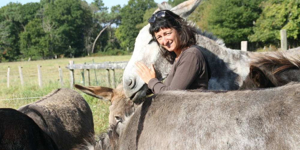  Aux ânes etc (Pays de la Loire, Loire-Atlantique)