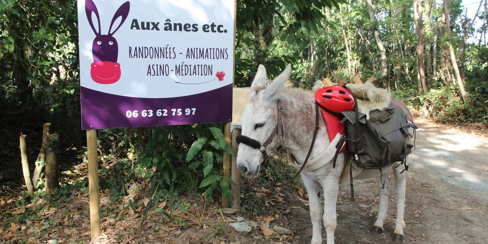  Aux ânes etc (Pays de la Loire, Loire-Atlantique)