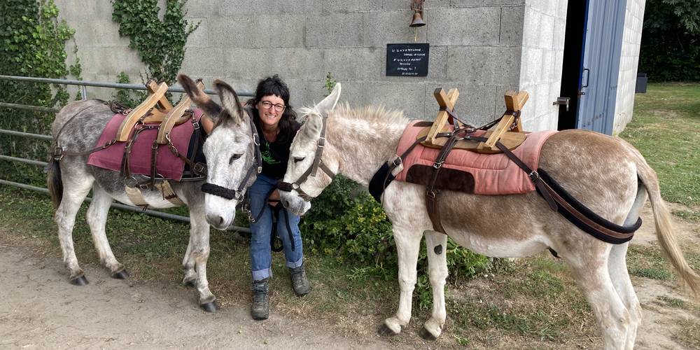  Aux ânes etc (Pays de la Loire, Loire-Atlantique)