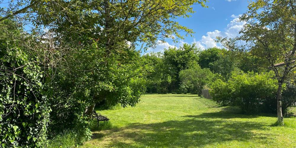 Le terrain et le bois -  A Rivedieu (Nouvelle-Aquitaine, Gironde)