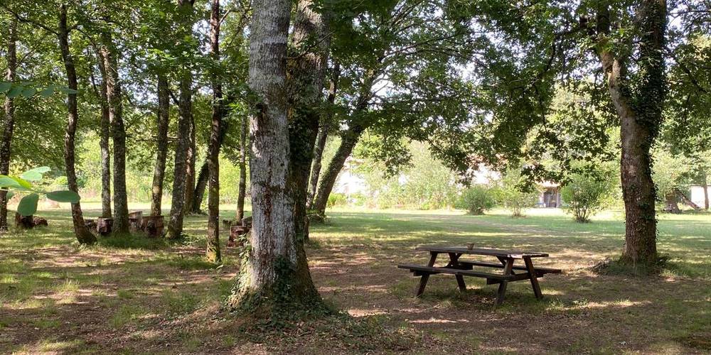 Le coin calme -  A Rivedieu (Nouvelle-Aquitaine, Gironde)