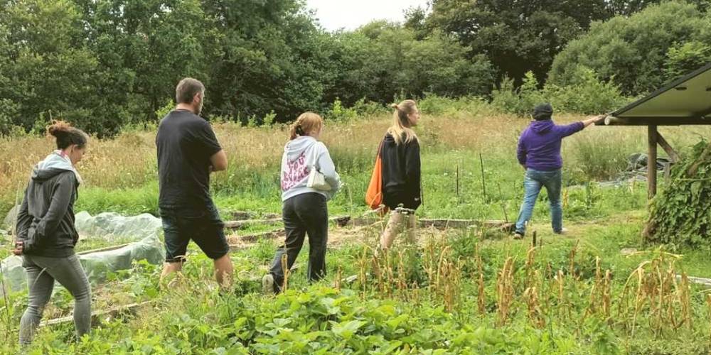 Visite du potager -  Micro-ferme La Bastardière (Bretagne, Morbihan)