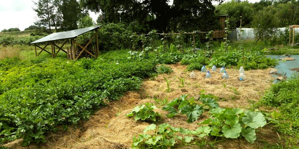  Micro-ferme La Bastardière (Bretagne, Morbihan)
