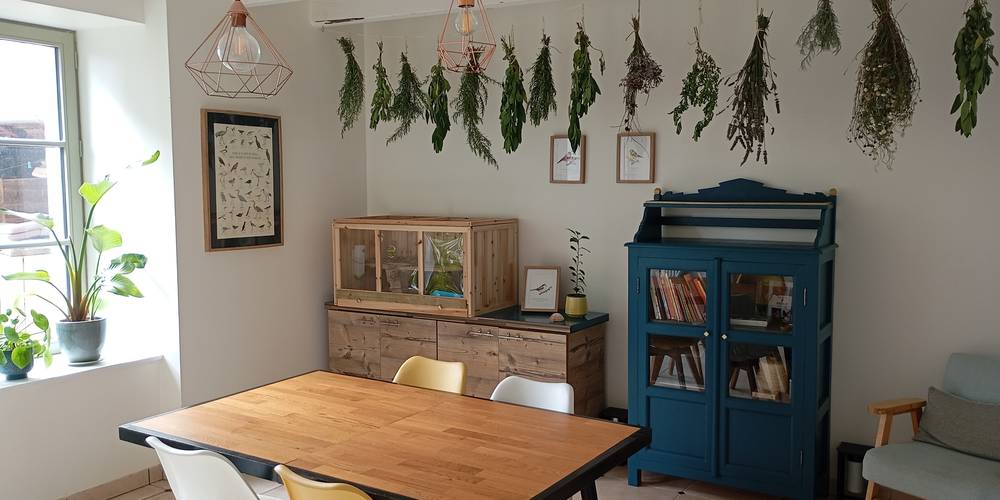  Graines d'espoir en bords de Rance (Bretagne, Côtes-d'Armor)