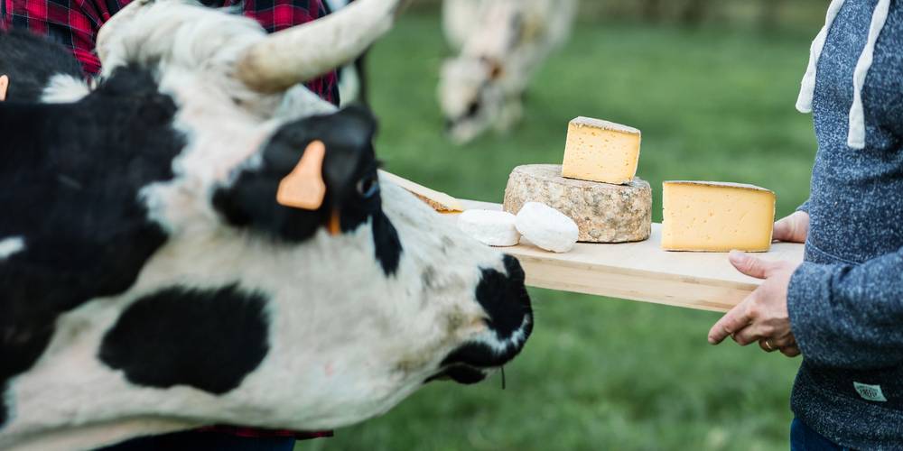  La Ferme de Grand Lieu (Pays de la Loire, Loire-Atlantique)