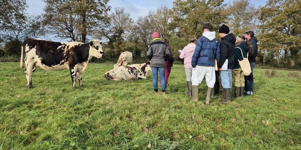  La Ferme de Grand Lieu (Pays de la Loire, Loire-Atlantique)