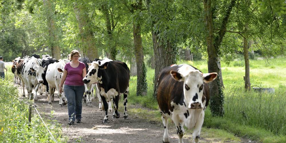  La Ferme de Grand Lieu (Pays de la Loire, Loire-Atlantique)