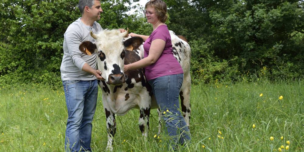 La Ferme de Grand Lieu (Pays de la Loire, Loire-Atlantique)