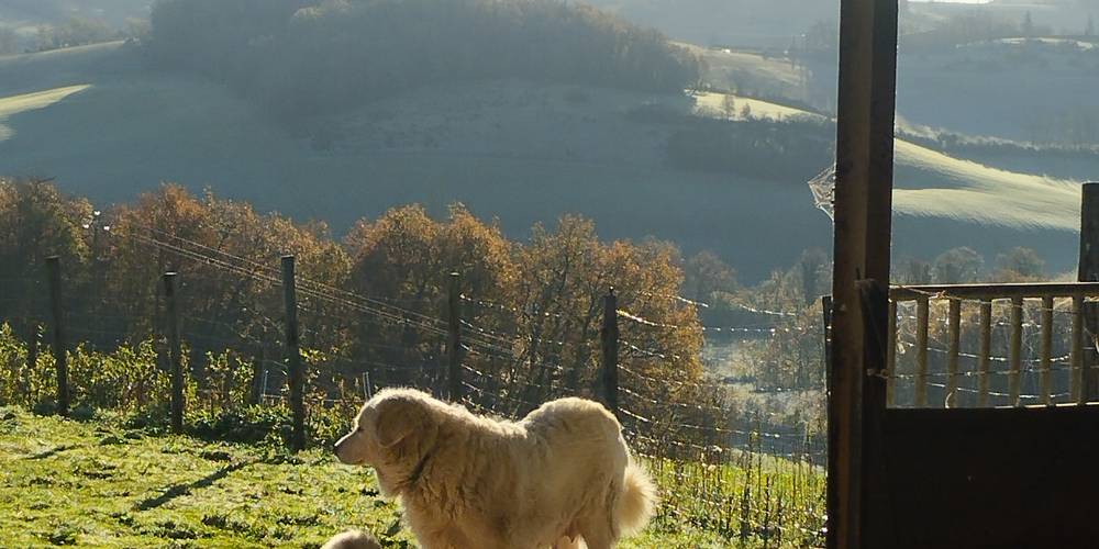  La ferme étoilée (Occitanie, Gers)