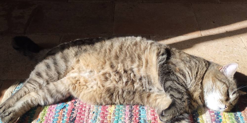  La ferme étoilée (Occitanie, Gers)