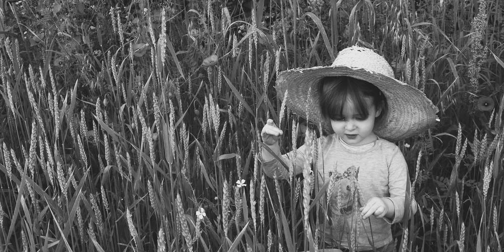  An ti ar sav heol (I) (Bretagne, Morbihan)