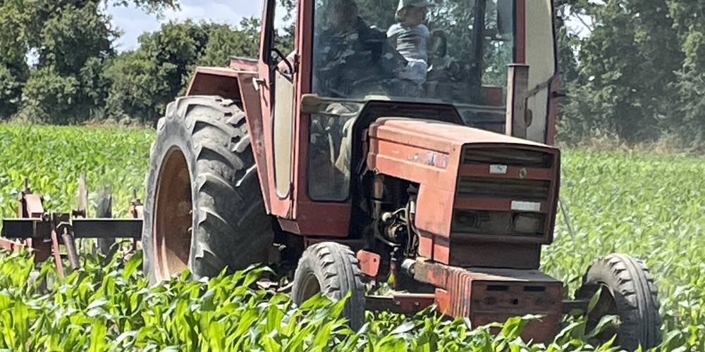  An ti ar sav heol (I) (Bretagne, Morbihan)