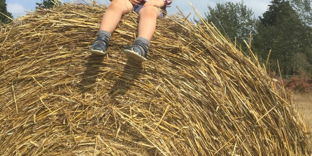  An ti ar sav heol (I) (Bretagne, Morbihan)