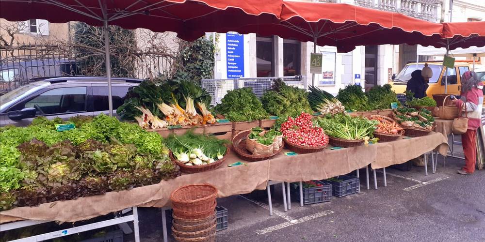  Le Champ des Grenouilles (Occitanie, Ariège)
