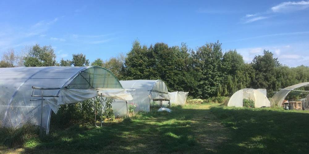  Ferme de Ty-Nevez (Bretagne, Finistère)