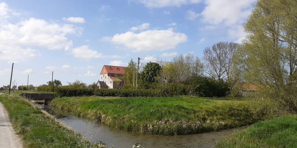  Traits paysans (Hauts-de-France, Nord)