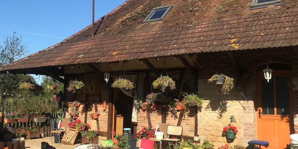  At the bottom of the pond (Bourgogne-Franche-Comté, Jura)