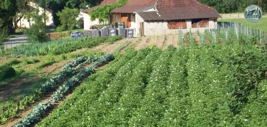  At the bottom of the pond (Bourgogne-Franche-Comté, Jura)