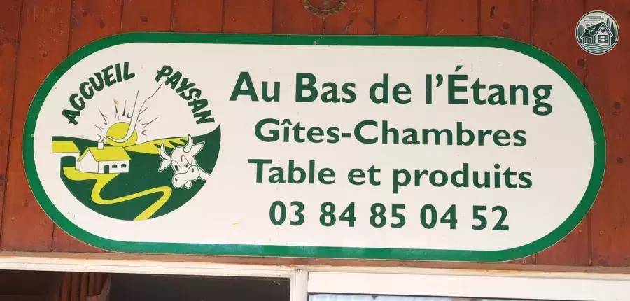  At the bottom of the pond (Bourgogne-Franche-Comté, Jura)