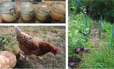  EI Ophélie Ratti (Bretagne, Ille-et-Vilaine)