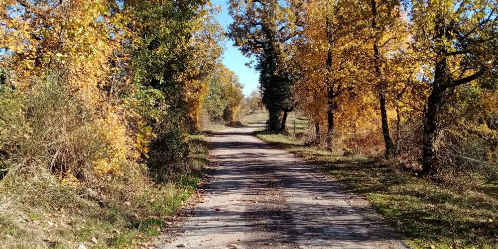  "Ferme de la Servie" (Occitanie, Lot)