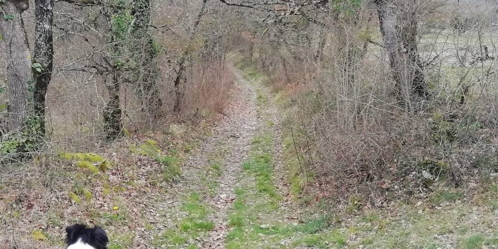  "Ferme de la Servie" (Occitanie, Lot)