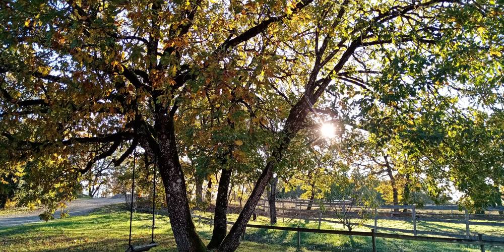  "Ferme de la Servie" (Occitanie, Lot)