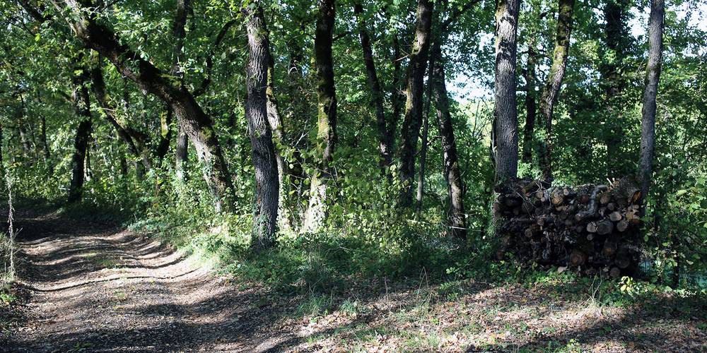  "Ferme de la Servie" (Occitanie, Lot)