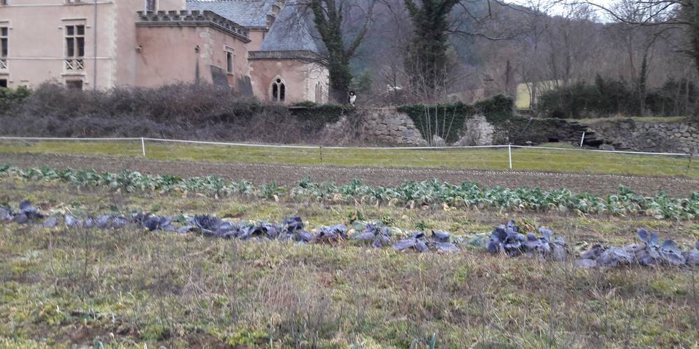  Ariges Castle Eco-Reserve (Occitanie, Lozère)