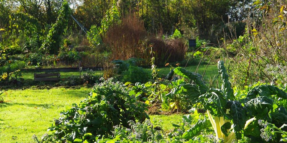  Jardin Solstice (Centre-Val de Loire, Eure-et-Loir)