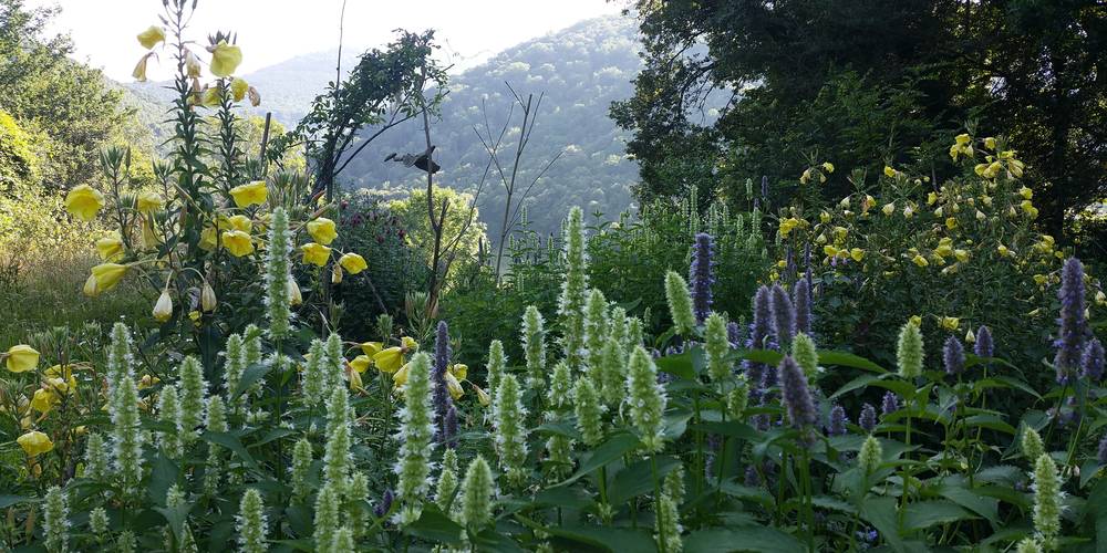  La fruiterie de Peyort (Occitanie, Ariège)